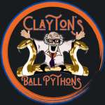 Claytons Ball Pythons