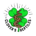 Clovers Reptiles