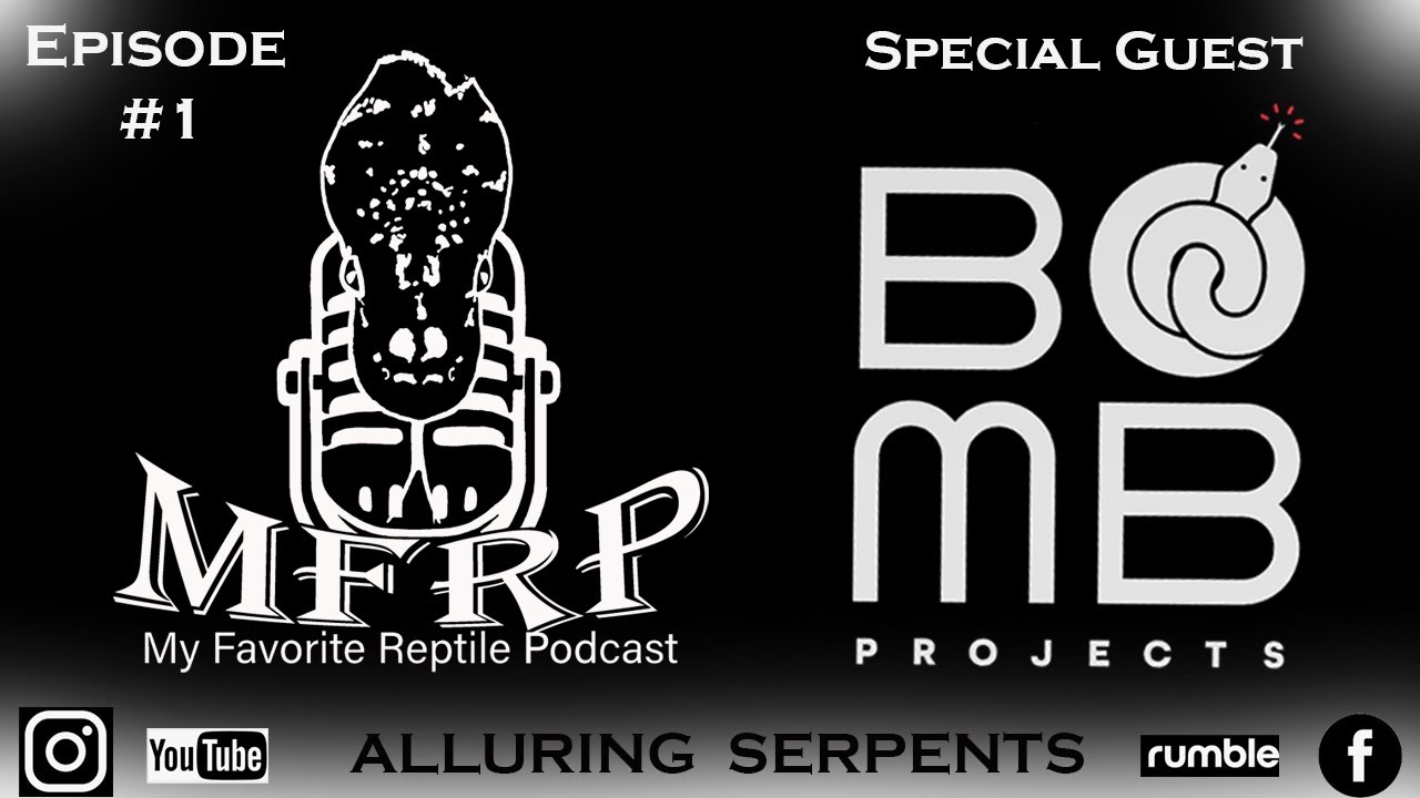 My Favorite Reptile Podcast: Episode 1, Bomb Projects - YouTube