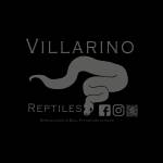 Villarino Reptiles