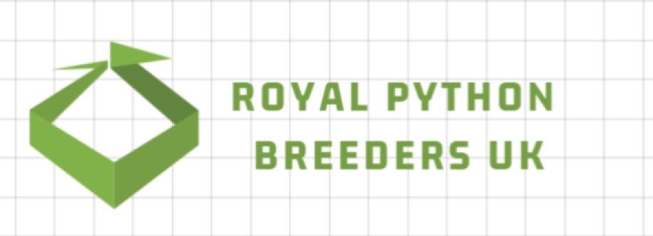 Royal Python Breeders UK