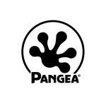 Pangea Reptile