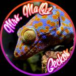 MrsMaQz Gecko