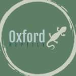 Oxford_Reptile