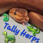 Tally Herps