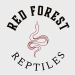 Red Forest Reptiles