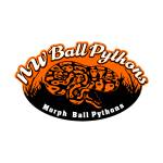 NW Ball Pythons