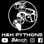 H&H Pythons