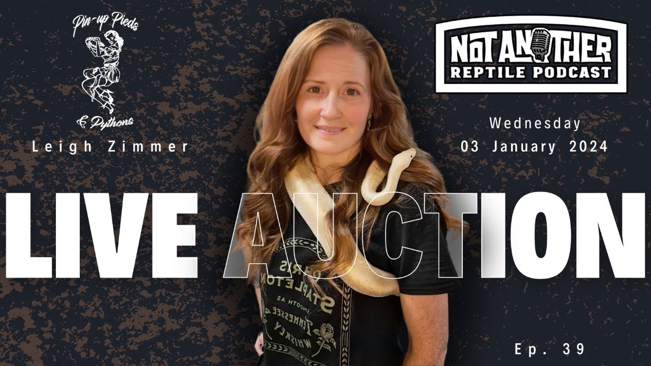 Not Another Reptile Podcast Ep.39  |  Pin-Up Pieds & Pythons - YouTube