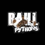 Bahl Pythons